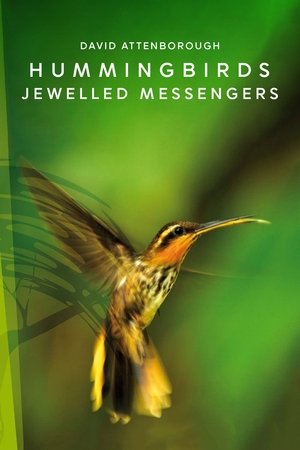 Watch Free Hummingbirds Jewelled Messengers (2012)