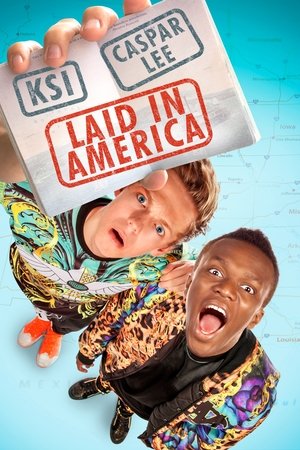 Watch Free Laid in America (2016)