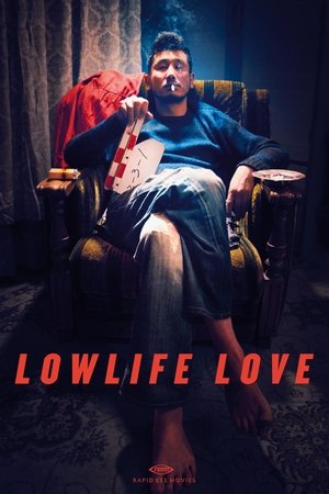 Watch Free Lowlife Love (2015)