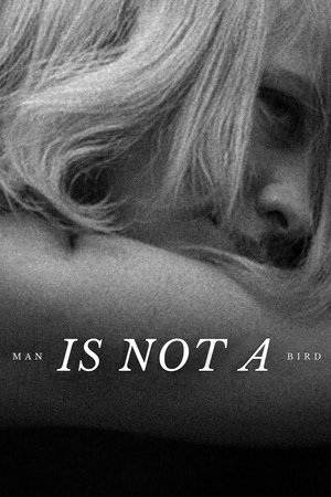 Watch Free Man Is Not a Bird (1965)