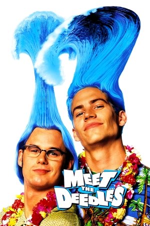 Watch Free Meet the Deedles (1998)