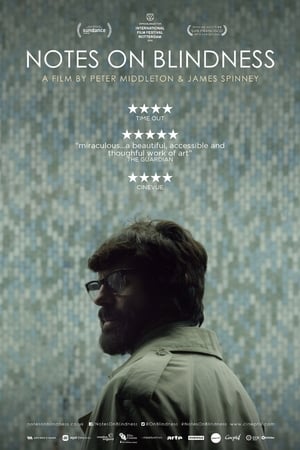 Watch Free Notes on Blindness (2016)