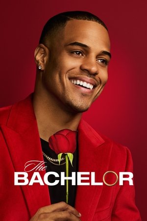 Watch Free The Bachelor (2002 )