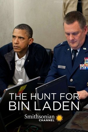 Watch Free The Hunt for Bin Laden (2012)