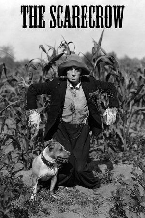 Watch Free The Scarecrow (1920)