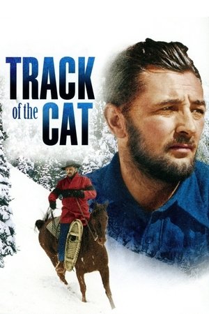 Watch Free Track of the Cat (1954)