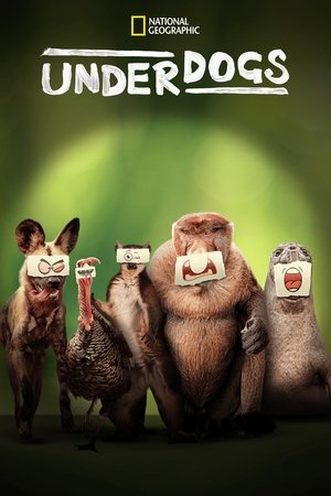 Watch Free Underdogs (2025-)