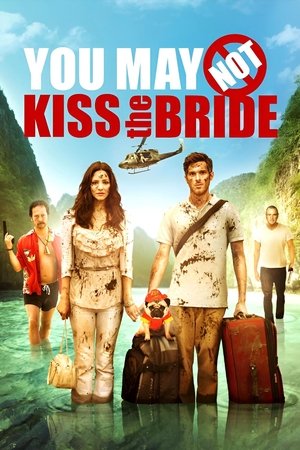 Watch Free You May Not Kiss the Bride (2011)