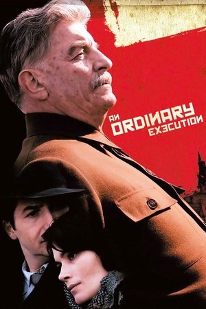 Watch Free An Ordinary Execution (2010)