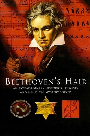 Watch Free Beethovens Hair (2005)