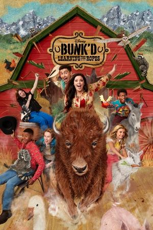 Watch Free Bunkd (20152021)