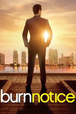 Watch Free Burn Notice