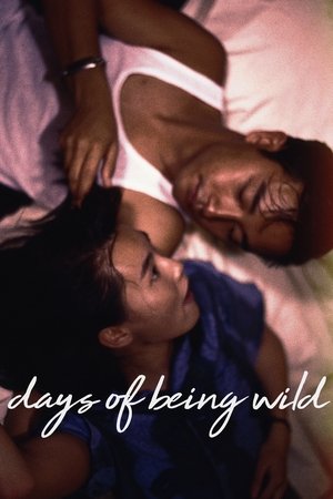 Watch Free Days of Being Wild (1990)