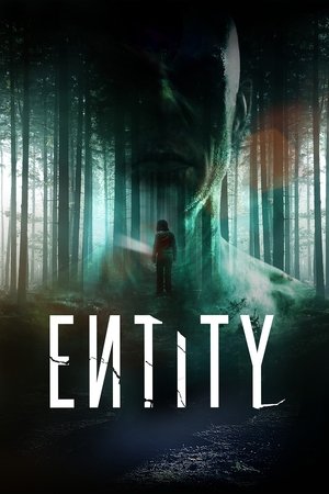 Watch Free Entity (2012)