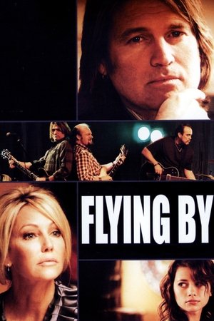 Watch Free Flying By (2009)