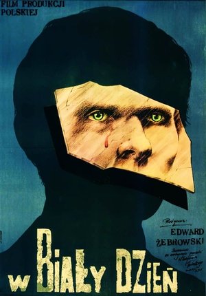 Watch Free W bialy dzien (1981)