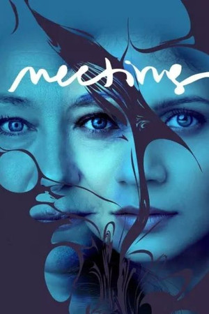 Watch Free Meeting (2020)