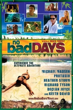 Watch Full Movie: No Bad Days (2008)