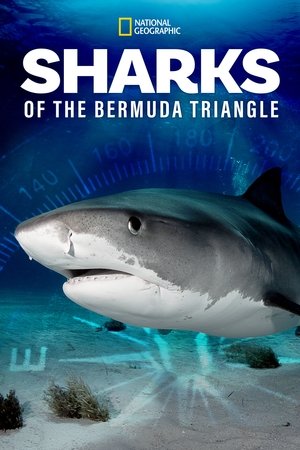 Watch Free Sharks of the Bermuda Triangle (2020)