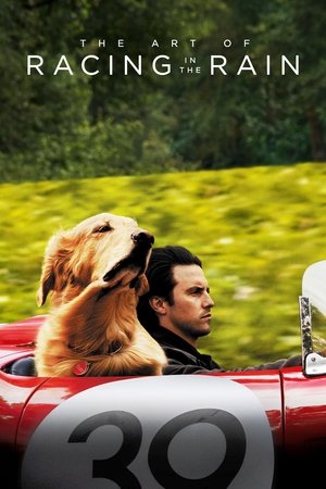 Watch Free The Art of Racing in the Rain (2019)