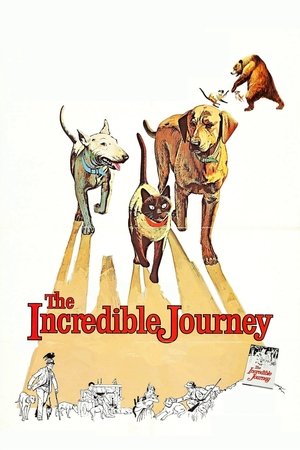 Watch Free The Incredible Journey (1963)