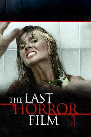 Watch Free The Last Horror Film (1982)