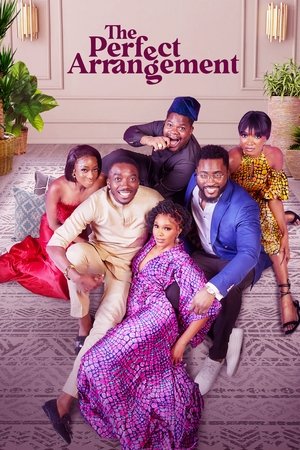 Watch Free The Perfect Arrangement (2022)