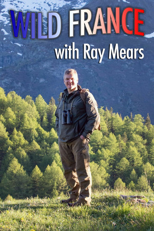 Watch Free Wild France with Ray Mears (2016)
