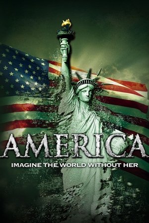 Watch Free America: Imagine the World Without Her (2014)