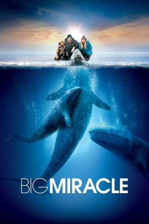 Watch Free Big Miracle 2012