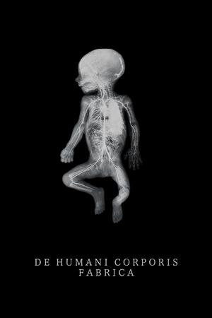 Watch Free The Fabric of the Human Body (2022)