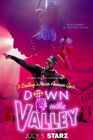 Watch Free Down in the Valley (2024-)