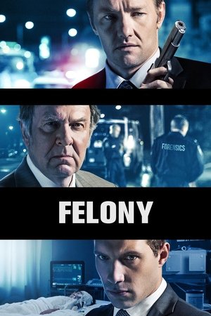 Watch Free Felony (2013)