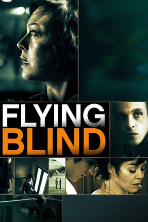 Watch Free Flying Blind (2012)