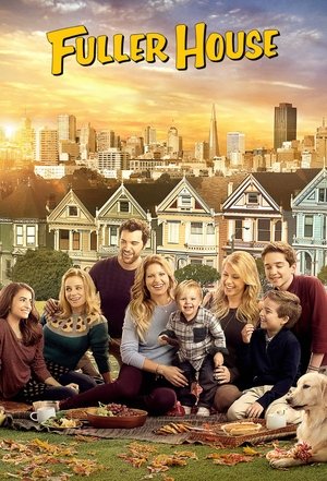 Watch Free Fuller House (TV Series 2016 )