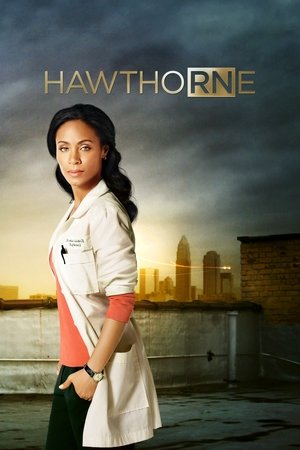 Watch Free Hawthorne (20092011)