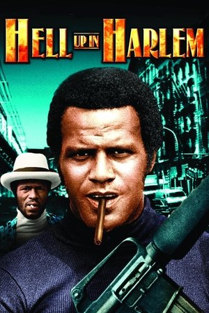 Watch Free Hell Up in Harlem (1973)