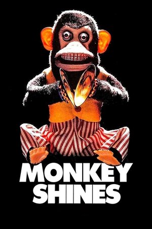 Watch Free Monkey Shines (1988)