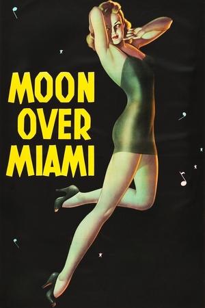 Watch Free Moon Over Miami (1941)
