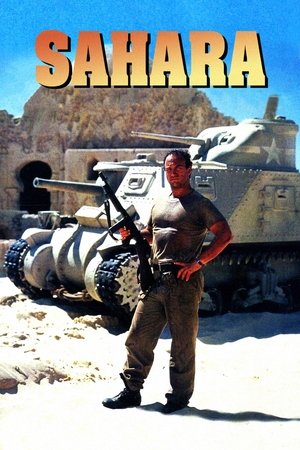 Watch Free Sahara (1995)
