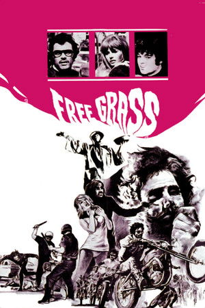 Watch Free Scream Free! (1969)