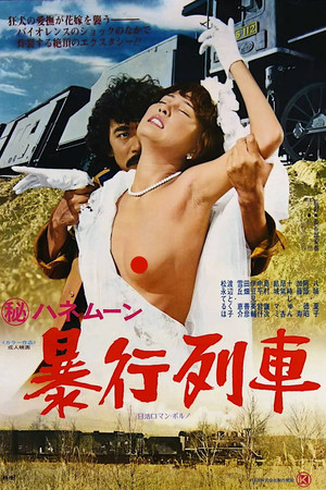 Watch Free Secret Honeymoon: Rape Train (1977)