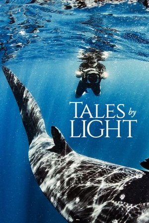 Watch Free Tales by Light (2015 )