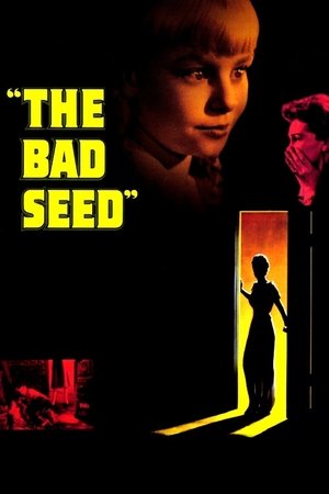 Watch Free The Bad Seed (1956)
