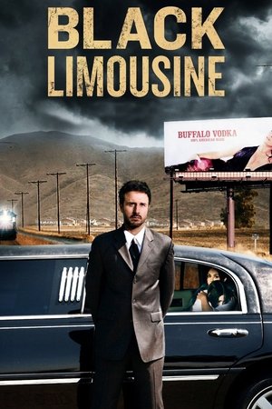 Watch Free Black Limousine (2010)
