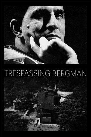 Watch Free Trespassing Bergman (2013)