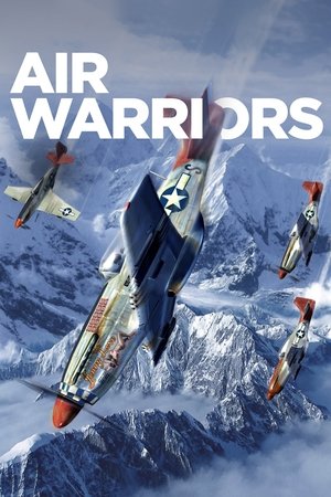 Watch Free Air Warriors (2014 )