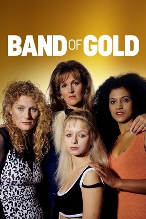 Watch Free Band of Gold (1995-1997)