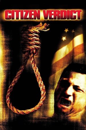 Watch Free Citizen Verdict (2003)
