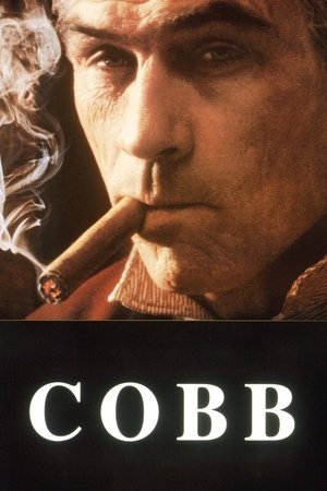 Watch Free Cobb (1994)